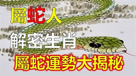 2023屬蛇每月運勢|2023屬蛇人的全年運勢 屬蛇人2023年每月運勢及運程詳解